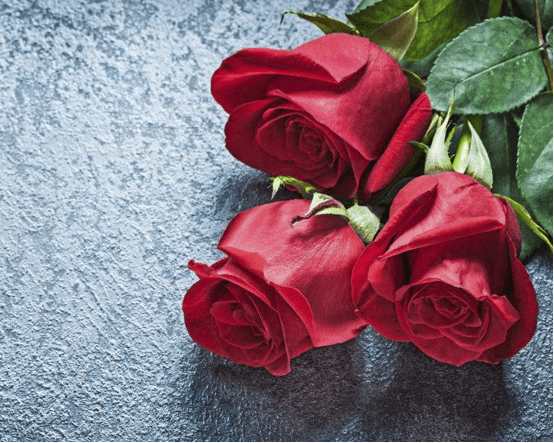 11朵红玫瑰代表什么?带你探寻它唯美的寓意! 