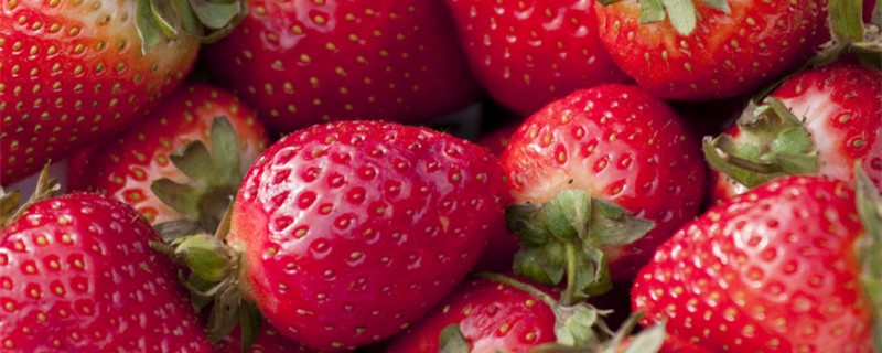 草莓是什么，怎么栽培