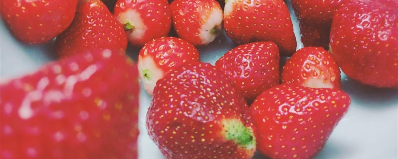 草莓几月份成熟，草莓采摘季节
